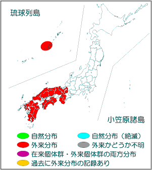 国内分布図