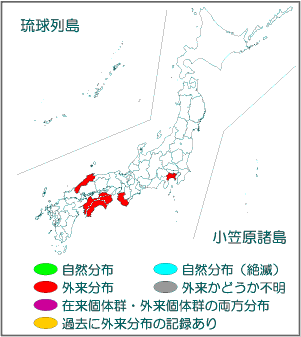 国内分布図