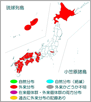 国内分布図