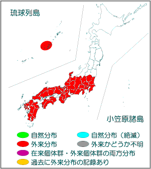 国内分布図