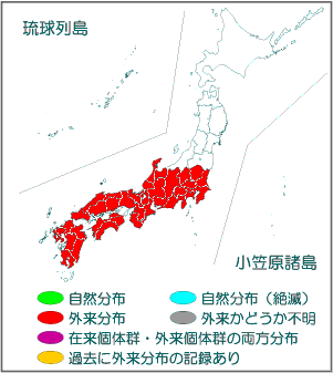 国内分布図