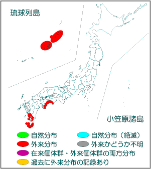 国内分布図