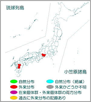 国内分布図