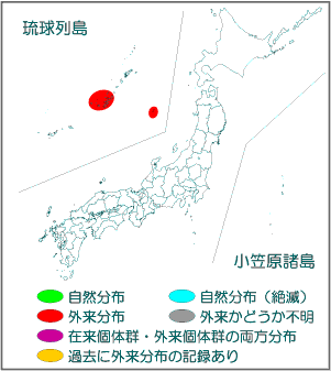 国内分布図