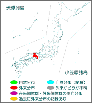 国内分布図