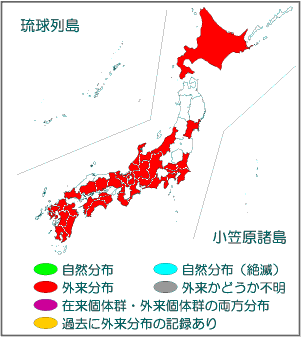 国内分布図