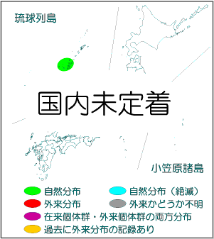 国内分布図