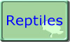 Reptiles