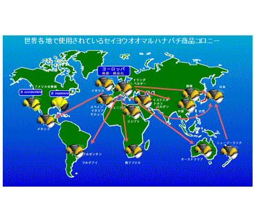 世界各地で使用されているセイヨウオオマルハナバチ商品コロニーの図