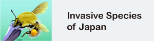 Link to invasive species of Japan