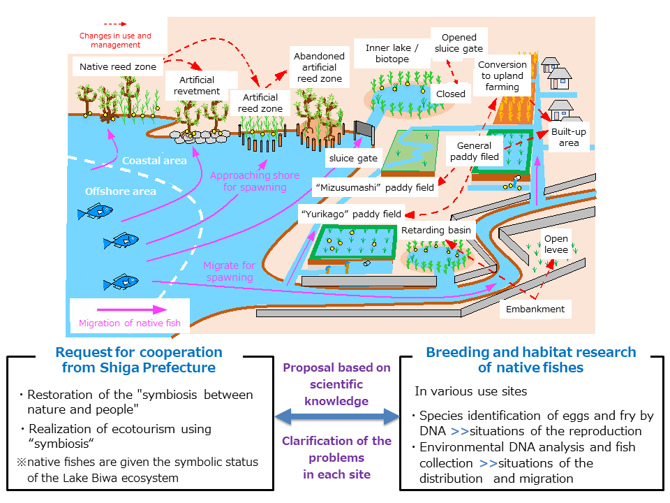 Research Summary Chart