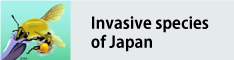 Invasive species of Japan