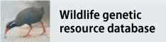 Image of Wildlife genetic resource database