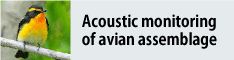 Image of Acoustic monitoring of avian assemblage
