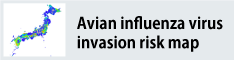 image of Avian influenza virus invasion risk map