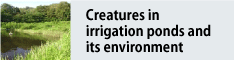 Image of Creatures of irrigation pond and its environment