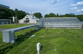 Ecosystem Research Field