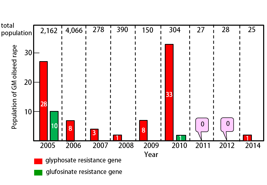 Population changes of GM oilseed rape over time