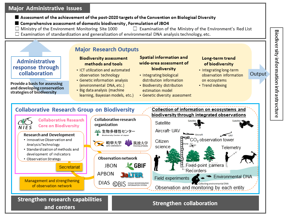 Research overview