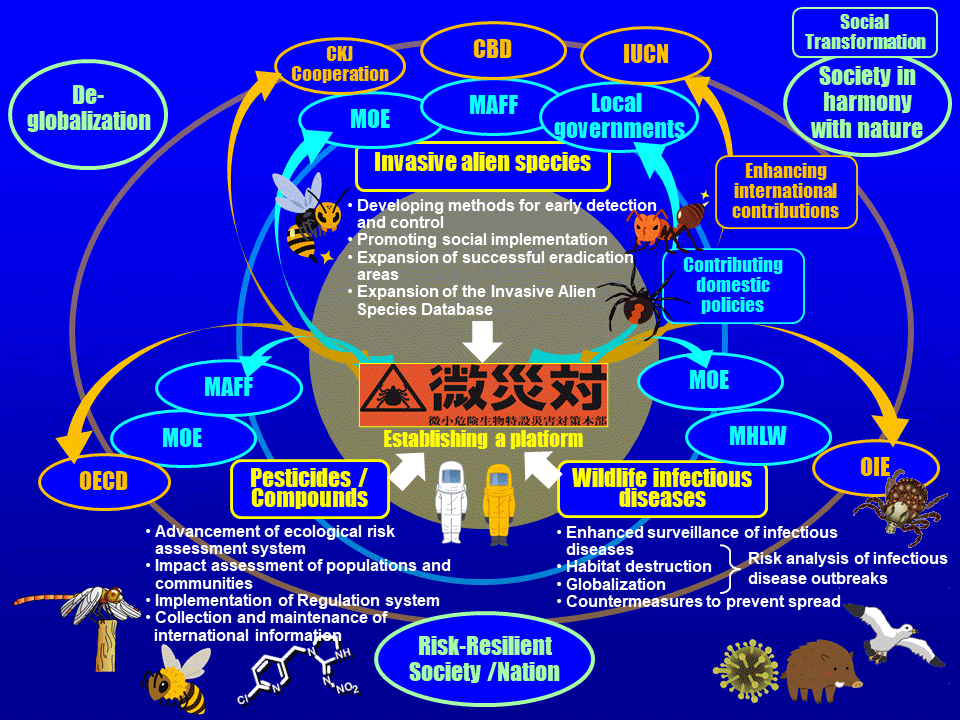 Project Overview1