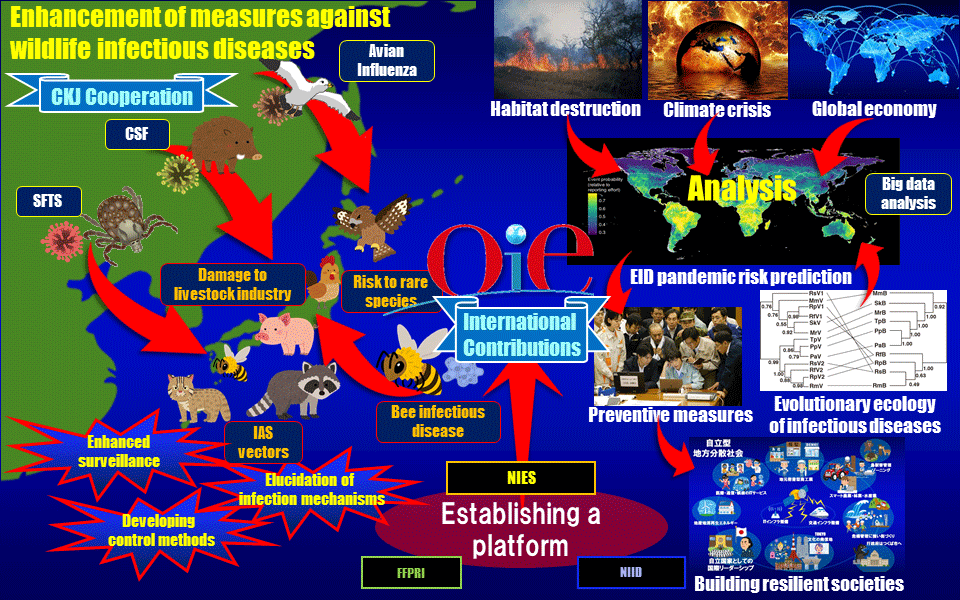 Project Overview2