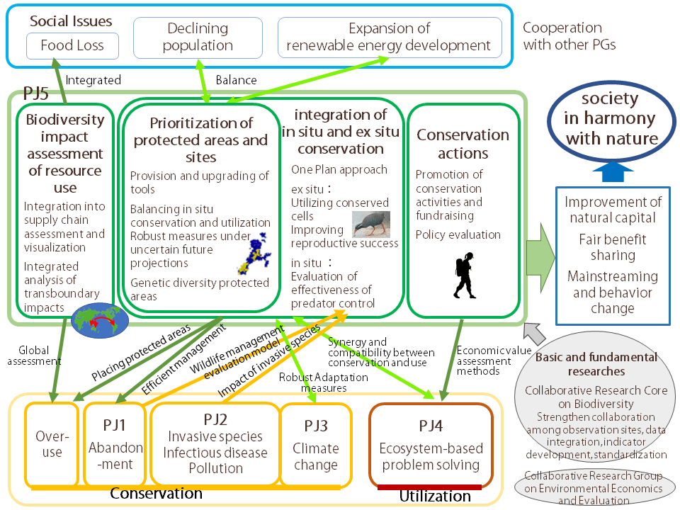 Project Overview