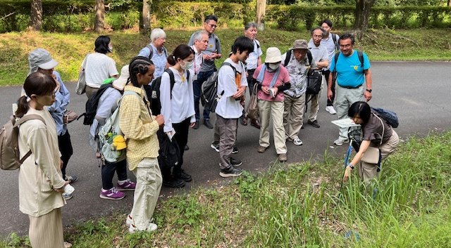 緑地見学