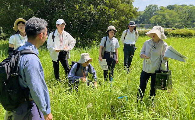 視察