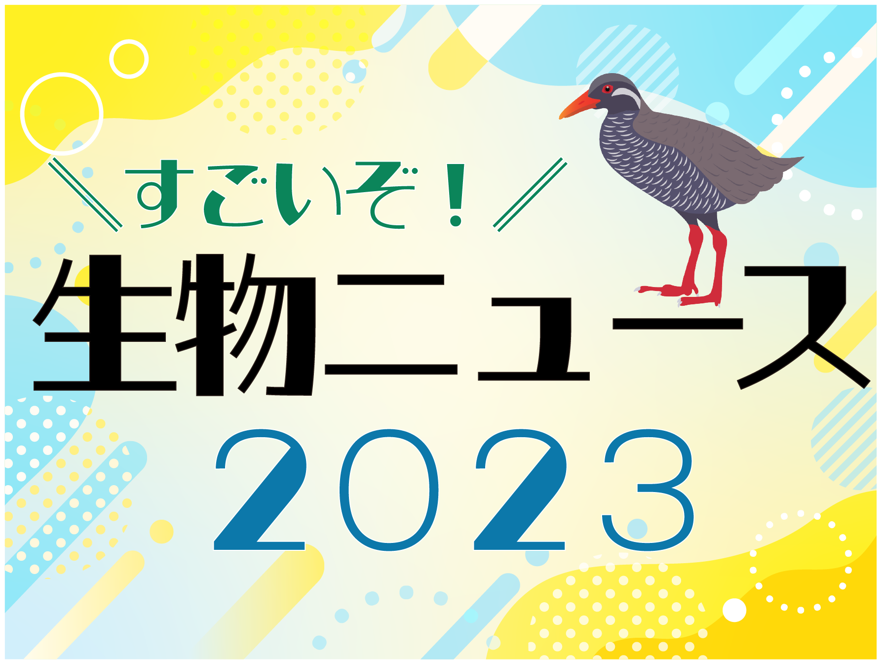 サンゴの海Twitter