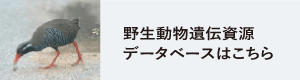 野生動物遺伝資源データベース