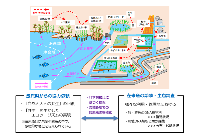 琵琶湖流域の在来魚の保全概要図