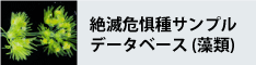 絶滅危惧種サンプルデータベース（藻類）