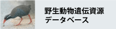 野生動物遺伝資源データベース