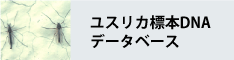 ユスリカ標本DNAデータベース