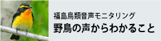 野鳥の声からわかること