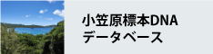 小笠原標本DNAデータベース