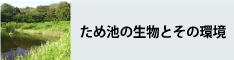 ため池の生物とその環境