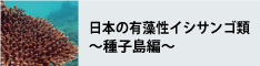 日本の有藻性イシサンゴ類種子島編