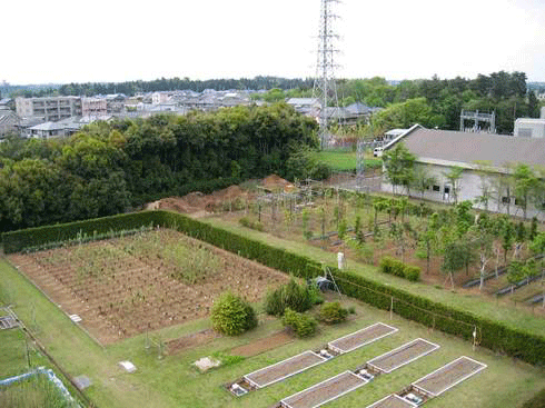 生態系研究フィールド（実験圃場）