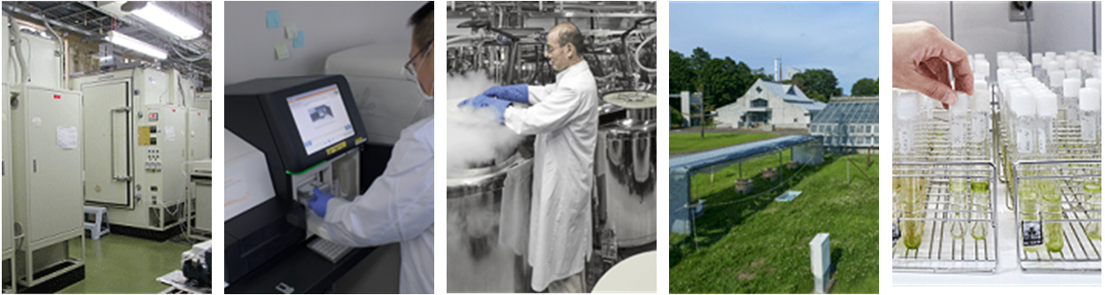 生物多様性領域のミッション