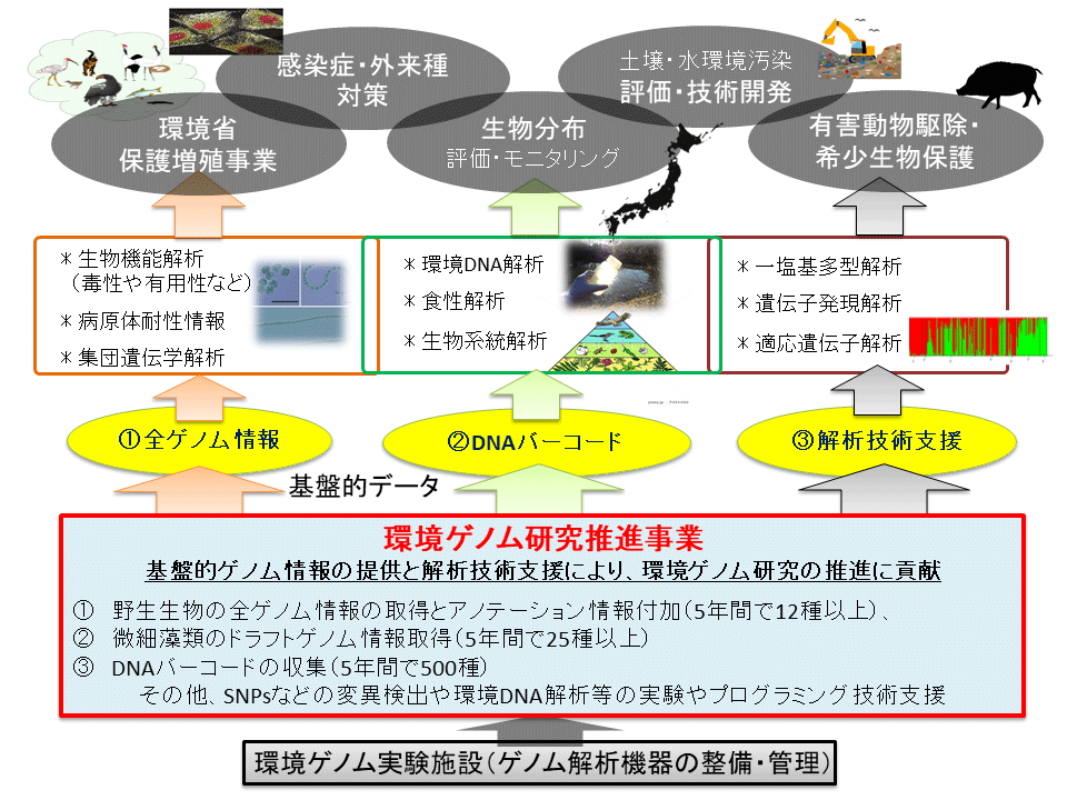 環境ゲノム研究推進のフロー