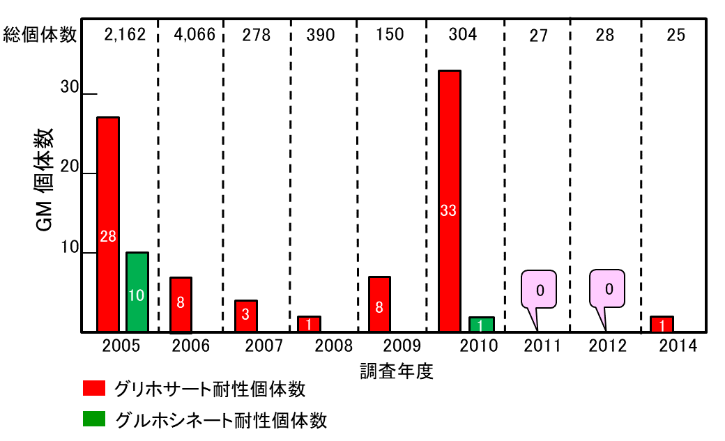 国道51号線沿いにおけるGMセイヨウアブラナ個体数の経年変化