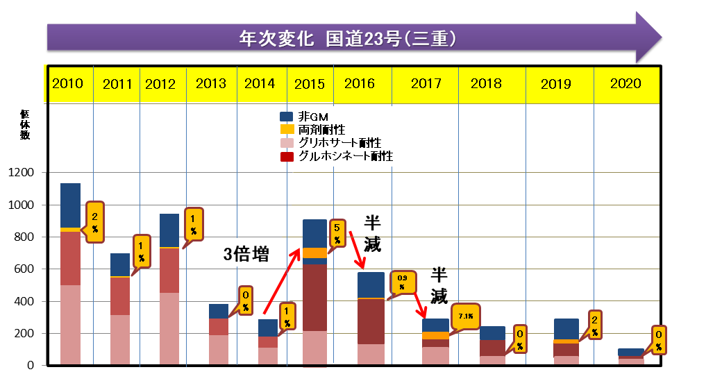 国道51号線沿いにおけるGMセイヨウアブラナ個体数の経年変化