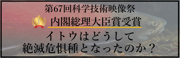 受賞