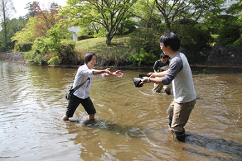 霞ヶ浦に自生する水生植物を移植する様子