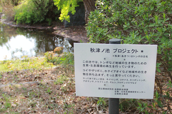 池のほとりに看板を設置