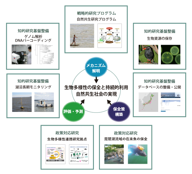 生物多様性領域のミッション