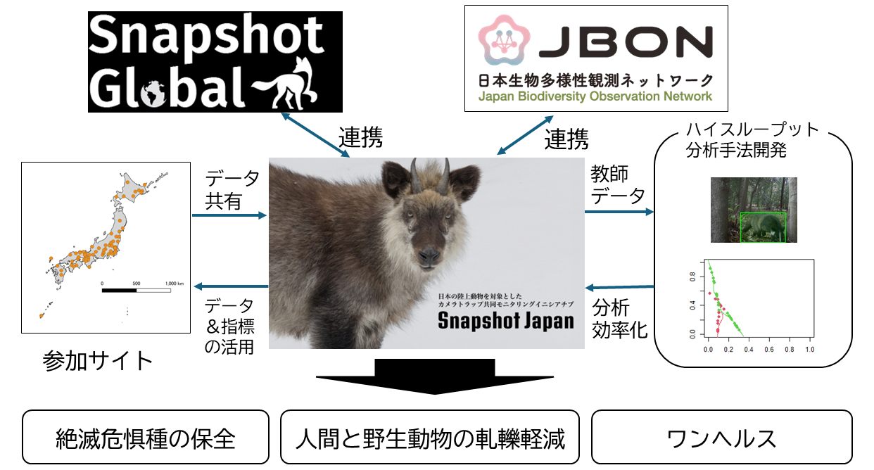 SnapShot