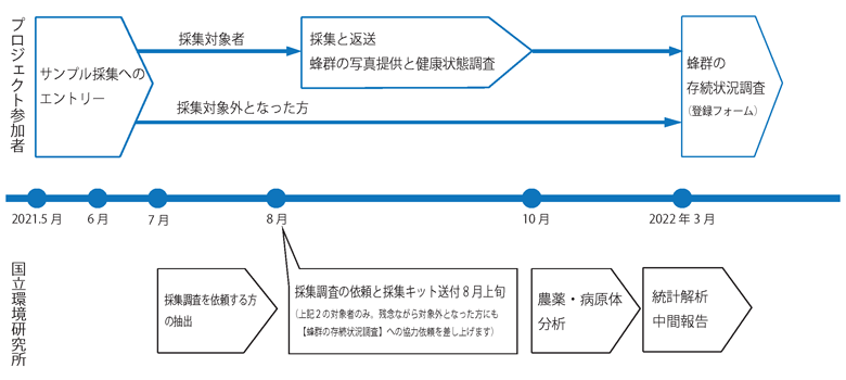 プロジェクトのスケジュール