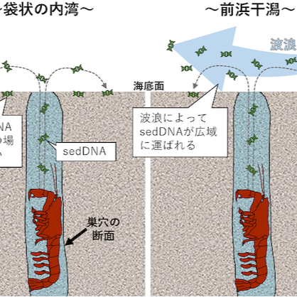 sonohanaha
            
            